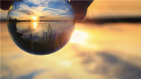 Banner Picture